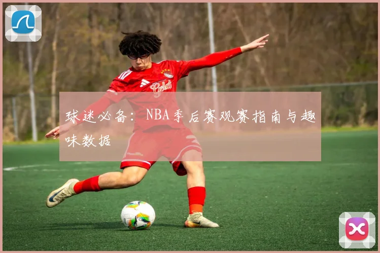 球迷必备:NBA季后赛观赛指南与趣味数据