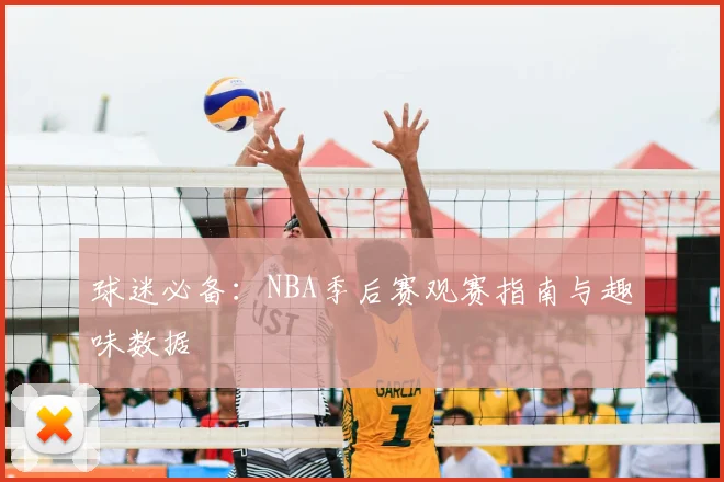 球迷必备：NBA季后赛观赛指南与趣味数据